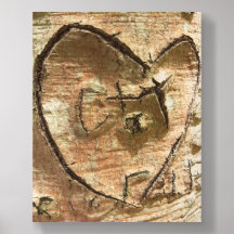 Für die Liebe von Baumkronen-Foto