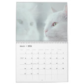 Für die Liebe von Katzen-Kalender für benutzerdefi Kalender (Mär 2026)