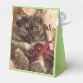 Für die Musician Gevor Box von RoseWrits Geschenkschachtel (Rückseite)