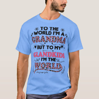 Für die Welt bin ich Oma, für meine Enkelkinder bi T-Shirt