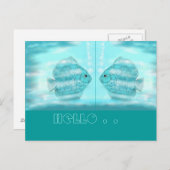 Für Discus-Freunde...Postkarte Postkarte (Vorne/Hinten)