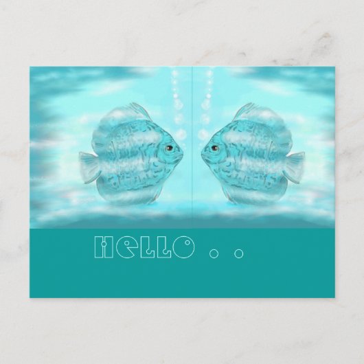 Für Discus-Freunde...Postkarte Postkarte (Vorderseite)