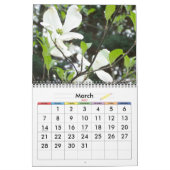 für Donna Kalender (Mär 2027)