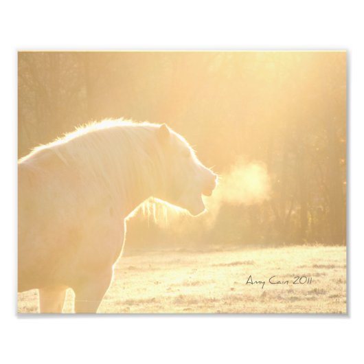 Für ein Pferdeschlachen Fotodruck (Vorne)