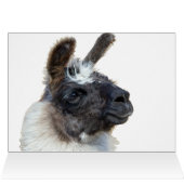 Fur Face (Innenansicht Horizontal (Oben))