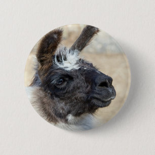 Fur Face Button