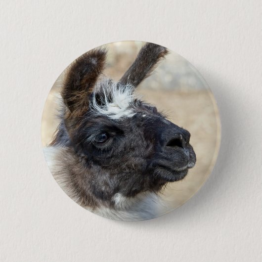 Fur Face Button (Vorderseite)