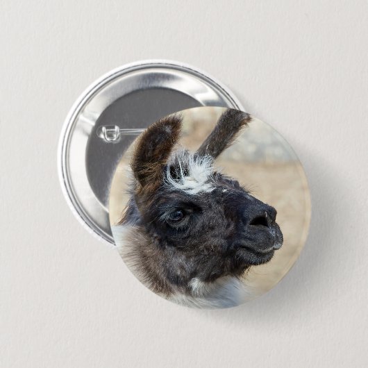 Fur Face Button (Vorne & Hinten)