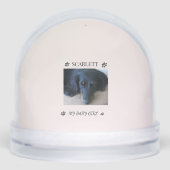 Fur-filled Sunshine Holiday Tribute Schneekugeln (Vorderseite)