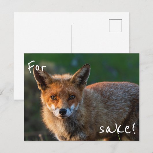 Für Fox Sake Postkarte (Vorne/Hinten)