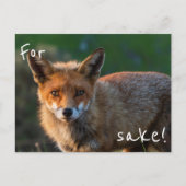 Für Fox Sake Postkarte (Vorderseite)