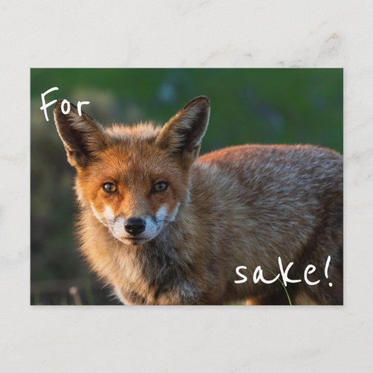 Für Fox Sake Postkarte (Vorderseite)