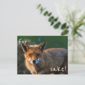 Für Fox Sake Postkarte (Stehend Vorderseite)
