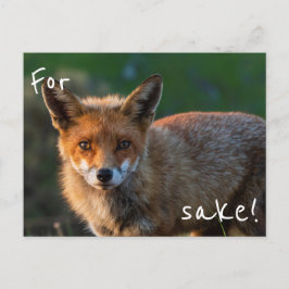 Für Fox Sake Postkarte