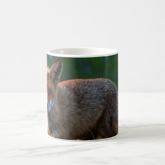 Für Fox Sake Tasse (Mittel)