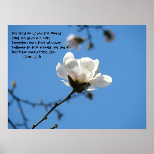 Für Gott So liebte die Welt John 3:16 Kunstdrucke Poster (Vorne)