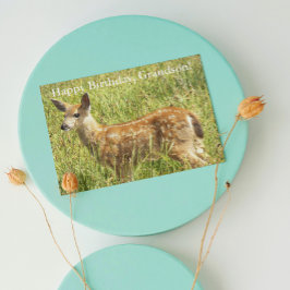 Für Grandson Deer Fawn Wildlife zum Geburtstag Karte