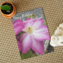 Für Großmutter Pink Clematis Blumengeburt