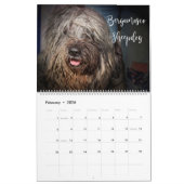 FÜR HUNDENLIEBE 2020 KALENDER (Feb 2026)