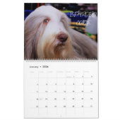 FÜR HUNDENLIEBE 2020 KALENDER (Jan 2026)