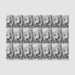 Für ihn ein handlicher, männlicher Bodybuilder Spo Seidenpapier