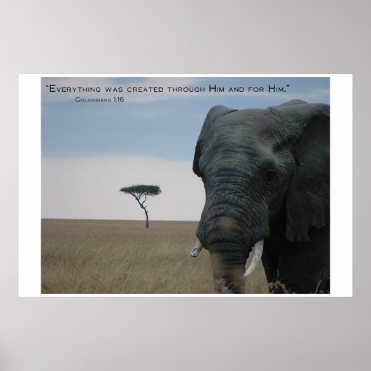 Für ihn geschaffen poster (Vorne)