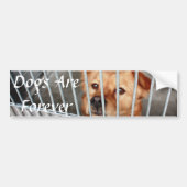 Für immer autoaufkleber (Vorne)