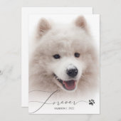 Für immer einfaches Script Pet Memorial Foto Viele Dankeskarte (Vorne/Hinten)