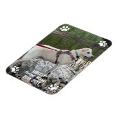 Für immer fehlendes Pet Memorial Modernes Foto Cus Magnet (Linke Seite)