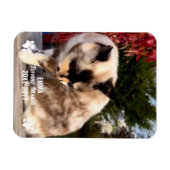 Für immer fehlendes Pet Memorial Modernes Foto Cus Magnet (Horizontal)