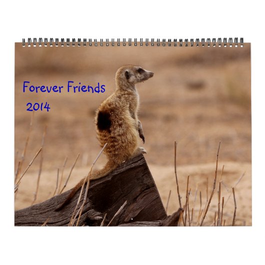 Für immer Freunde - FKMP 2014 Kalender (Titelbild)
