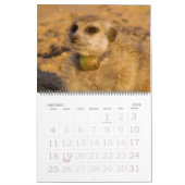 Für immer Freunde - FKMP 2014 Kalender (Jan 2026)