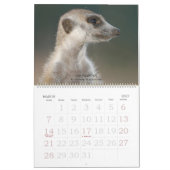 Für immer Freunde - Meerkat Kalender (Mär 2027)