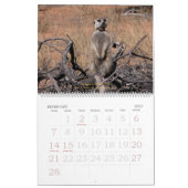 Für immer Freunde - Meerkat Kalender (Feb 2027)