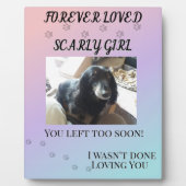 Für immer geliebtes Gradient Haustier Erinnerungs Fotoplatte (Vorderseite)