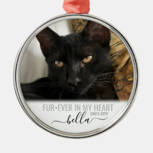 Für immer in meinem Herz-Pet-Memorial Keepake Silv Ornament Aus Metall