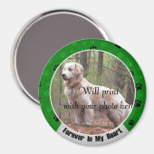 Für immer in meinem Herzen Hund oder Katzen-Gedäch Magnet (Vorderseite/Rückseite)