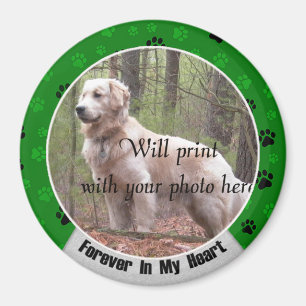 Für immer in meinem Herzen Hund oder Katzen-Gedäch Magnet
