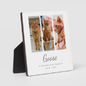 Für immer in meinem Herzen Pet Memorial Geschenk P Fotoplatte (Vorderseite)