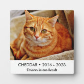 Für immer in unserem Cat Memorial Foto Fotoplatte (Vorderseite)