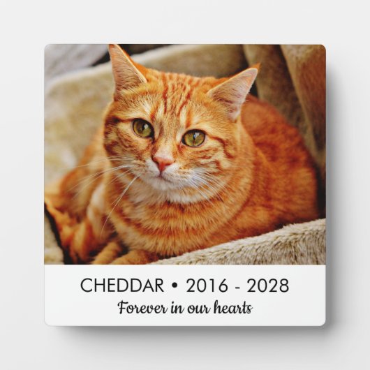 Für immer in unserem Cat Memorial Foto Fotoplatte (Vorderseite)