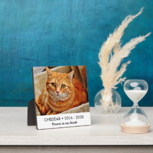 Für immer in unserem Cat Memorial Foto Fotoplatte