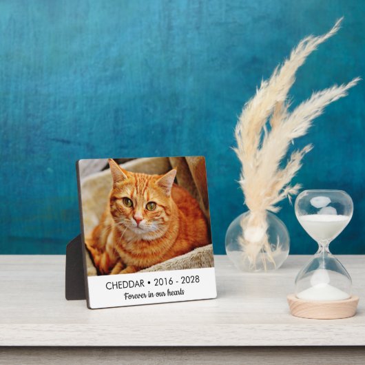 Für immer in unserem Cat Memorial Foto Fotoplatte (InSitu)