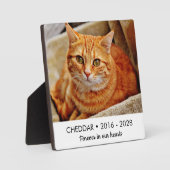 Für immer in unserem Cat Memorial Foto Fotoplatte (Vorderseite)