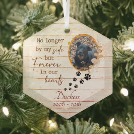 Für immer in unserem Hearts Pet Memorial Ornament Aus Glas
