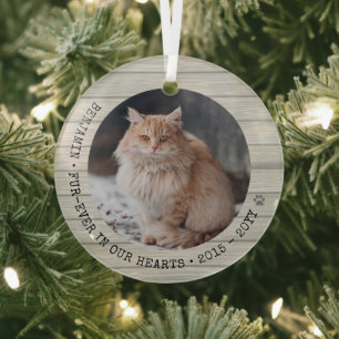 Für immer in unserem Herz Cat Foto Pet Memorial Ornament Aus Glas