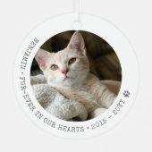 Für immer in unserem Herz Cat Foto Pet Memorial Ornament Aus Metall (Rückseite)