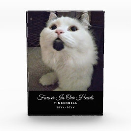 Für immer in unserem Herz Cat Memorial Pet Foto Na