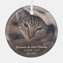 Für immer in unserem Herz Foto Cat Pet Memorial Ornament Aus Glas