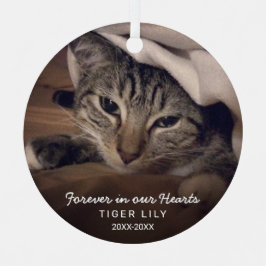 Für immer in unserem Herz Foto Cat Pet Memorial Ornament Aus Metall